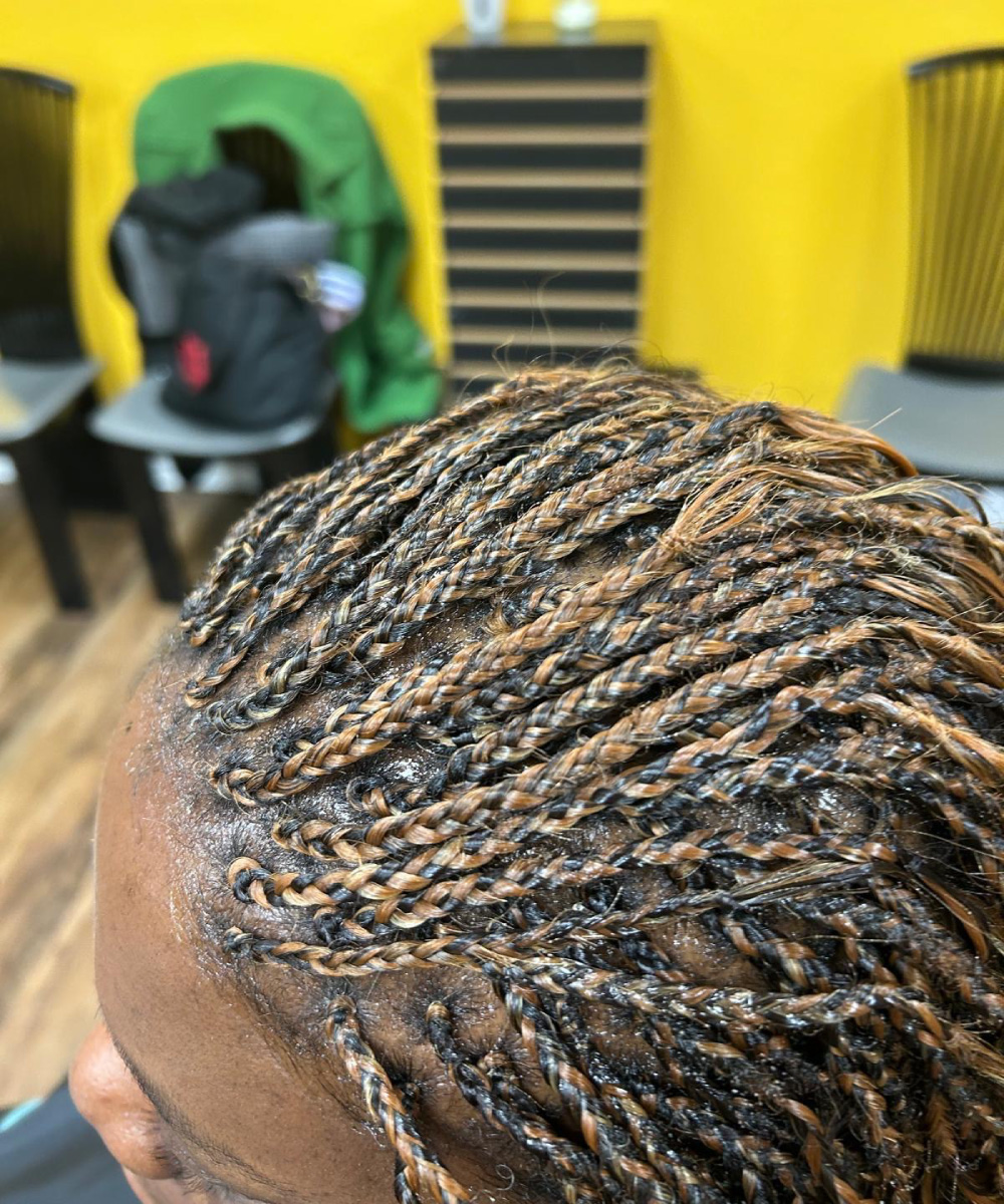 AfroCHIC Braids style